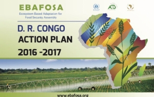 DR Congo Action Plan