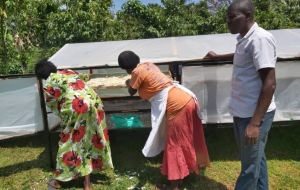 Solar Dryers Report From Uganda