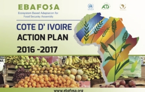 Cote D&#039;ivoire Action Plan