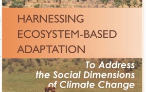 Harnessing Ecosystem-based Adaptation To Address the Social Dimensions of Climate Change