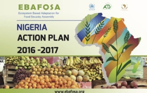 Nigeria Action Plan
