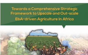 Towards a comprehensive Strategic Framework to Upscale and Out-scale EbA-driven agriculture In Africa