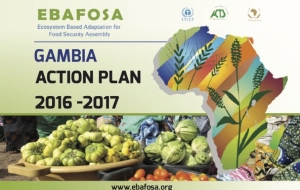 Gambia Action Plan
