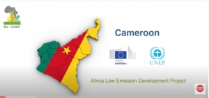 Driving climate action in Cameroon