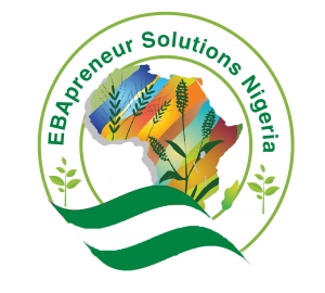 EbaPreneur Solutions Nigeria