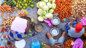 Integrating Climate Action Solutions into Food Systems in Botswana