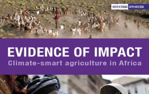 Evidence of impact Climate-smart agriculture in Africa