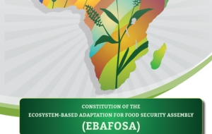 EBAFOSA Constitution