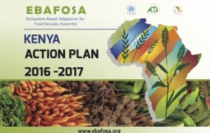 Kenya Action Plan