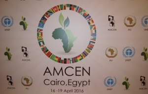 Outcomes of AMCEN Special Session and Implications for Africa